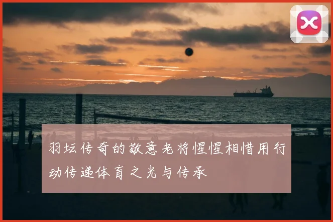 羽坛传奇的敬意老将惺惺相惜用行动传递体育之光与传承