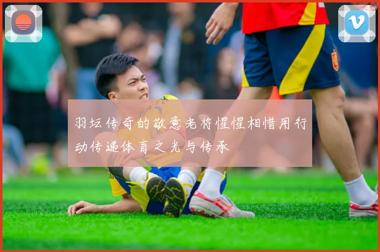 羽坛传奇的敬意老将惺惺相惜用行动传递体育之光与传承