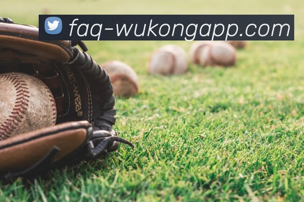 悟空体育app平台生态图