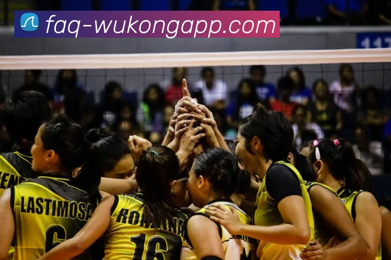 悟空体育app全站App 悟空体育app全站App